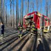 Waldbrandbekämpfung im Steinfeld