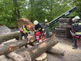 a2604img_4190.jpg