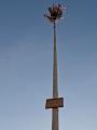 a300426maibaum2.jpg